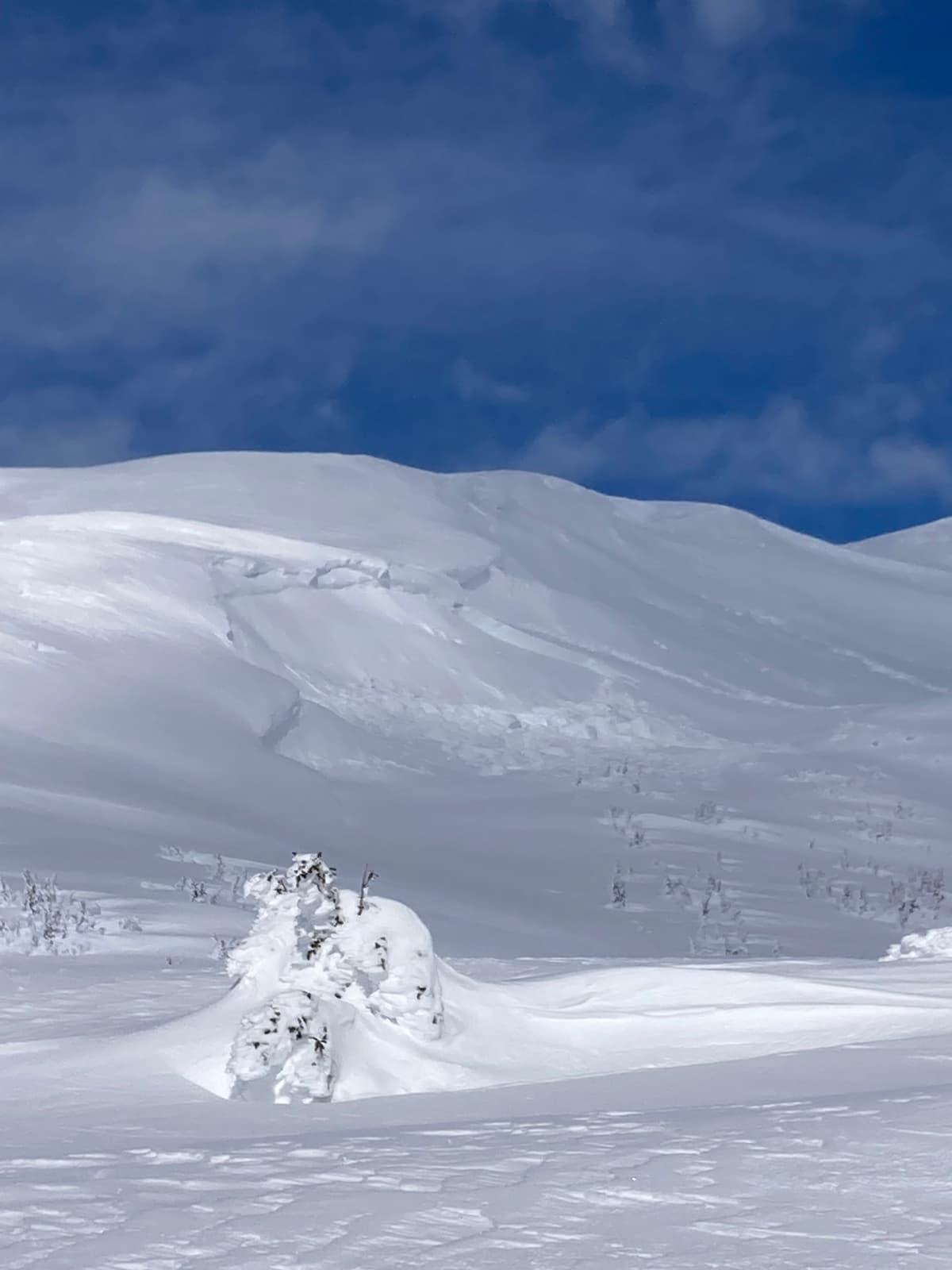 Mega cornice break and step down