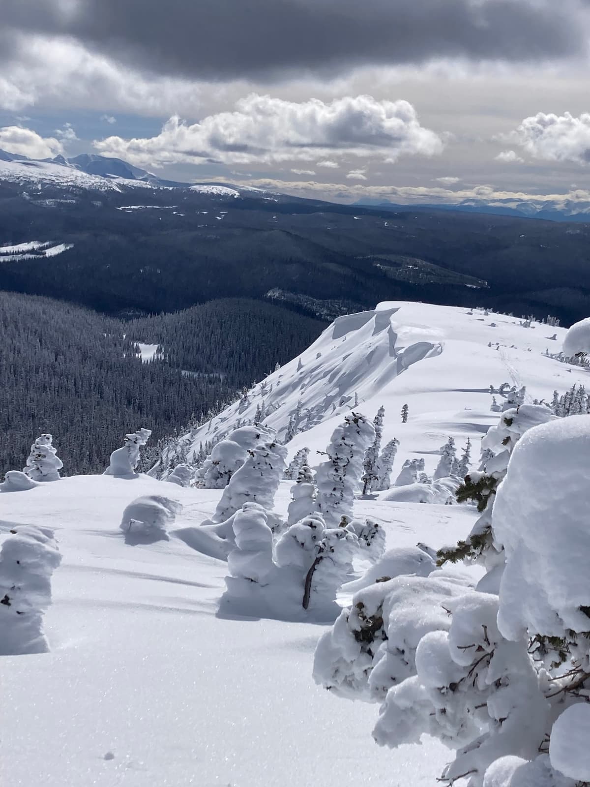 Cornices