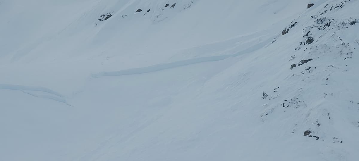 Crown looked to be 2 meters thick