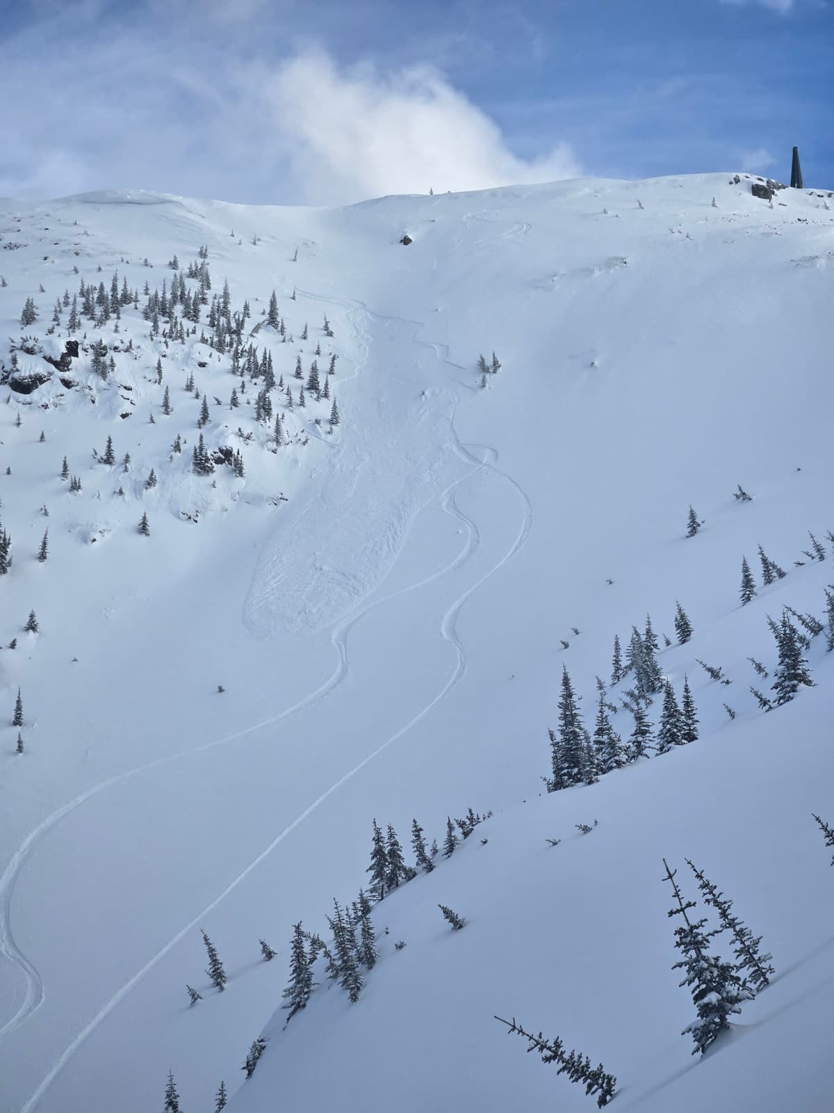 North bowl