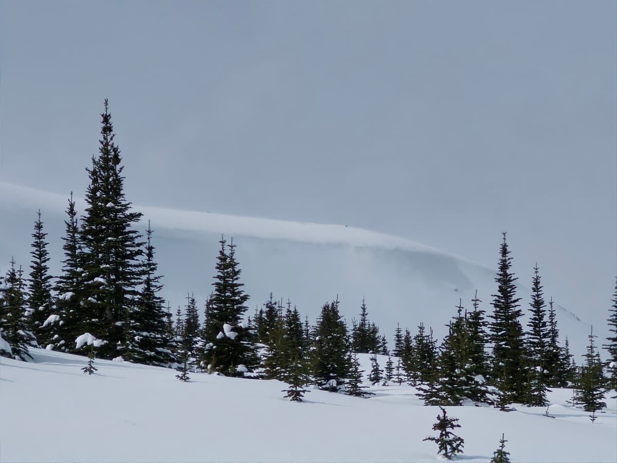 52.71247N, -117.68331E - photo taken location
2154m altitude @ 12:30:
Wind on top of bald Hills