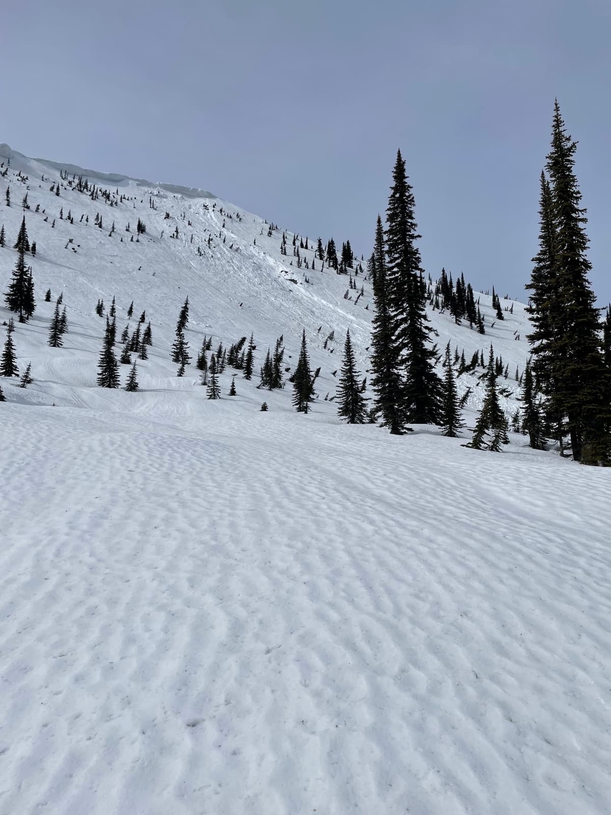 Cornice Ridge Avalanche. Not a great photo. Wet slide that gouged the snow below. Bed surface not smooth