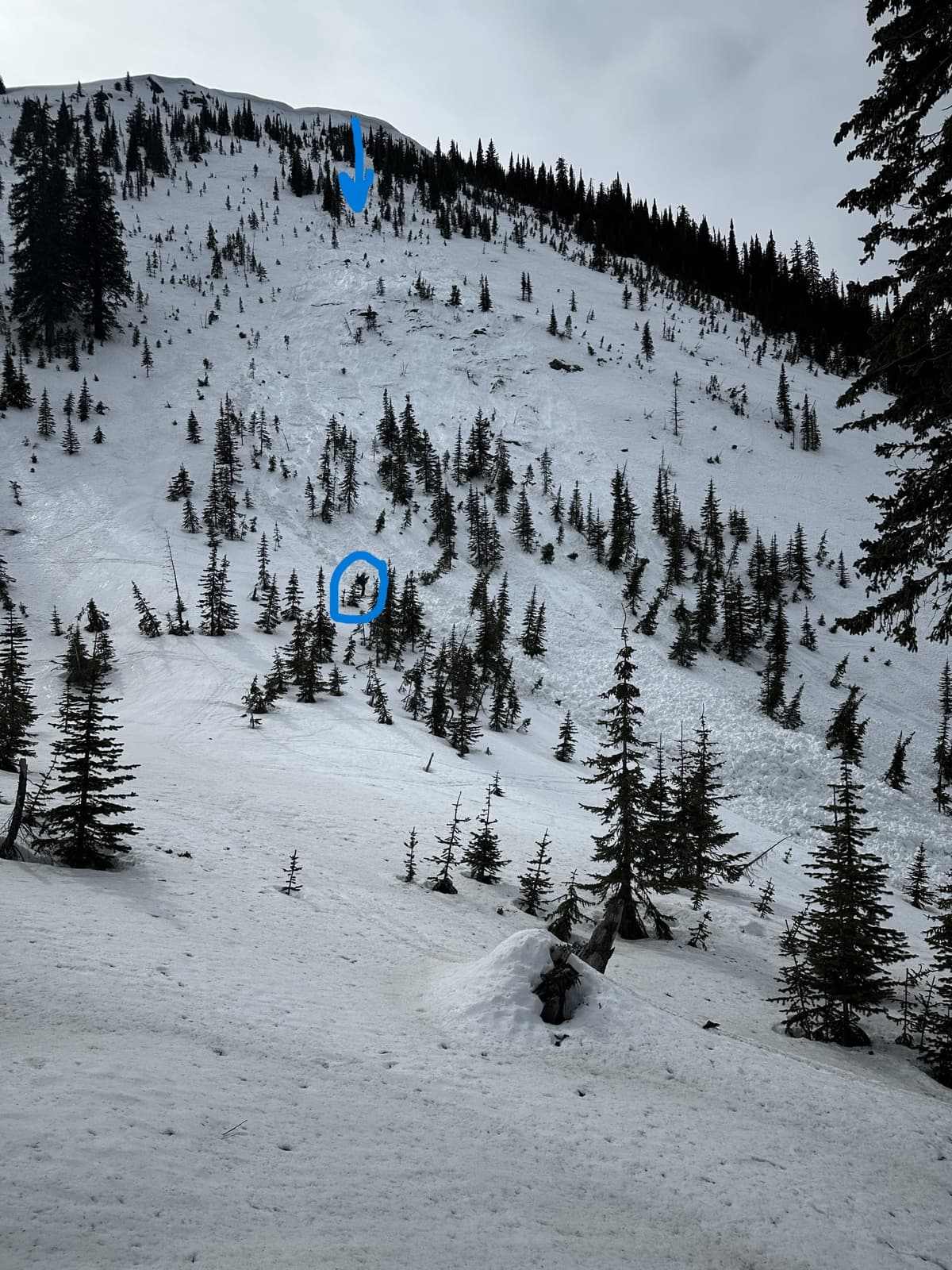 Blue circle contains person for scale; blue arrow shows steep rollover where large amount of snow appears to have been entrained.