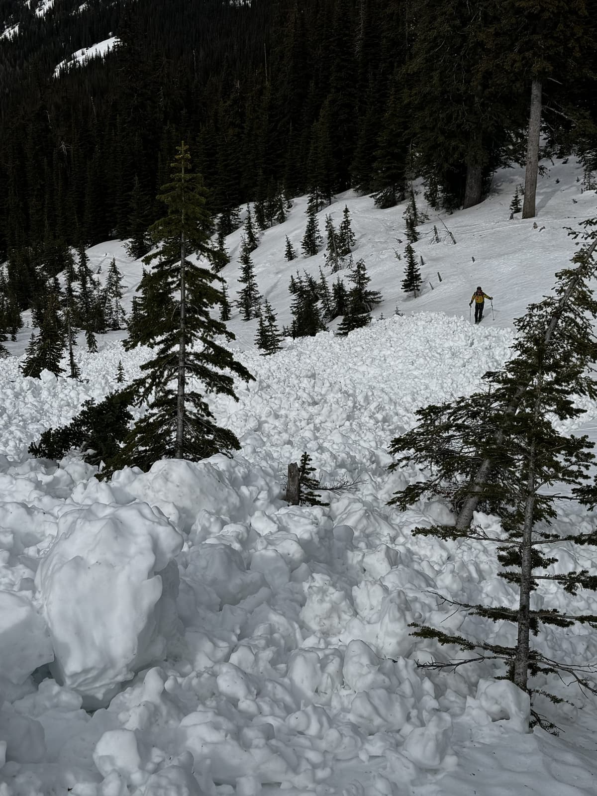 Looking down from about 1,950 m.