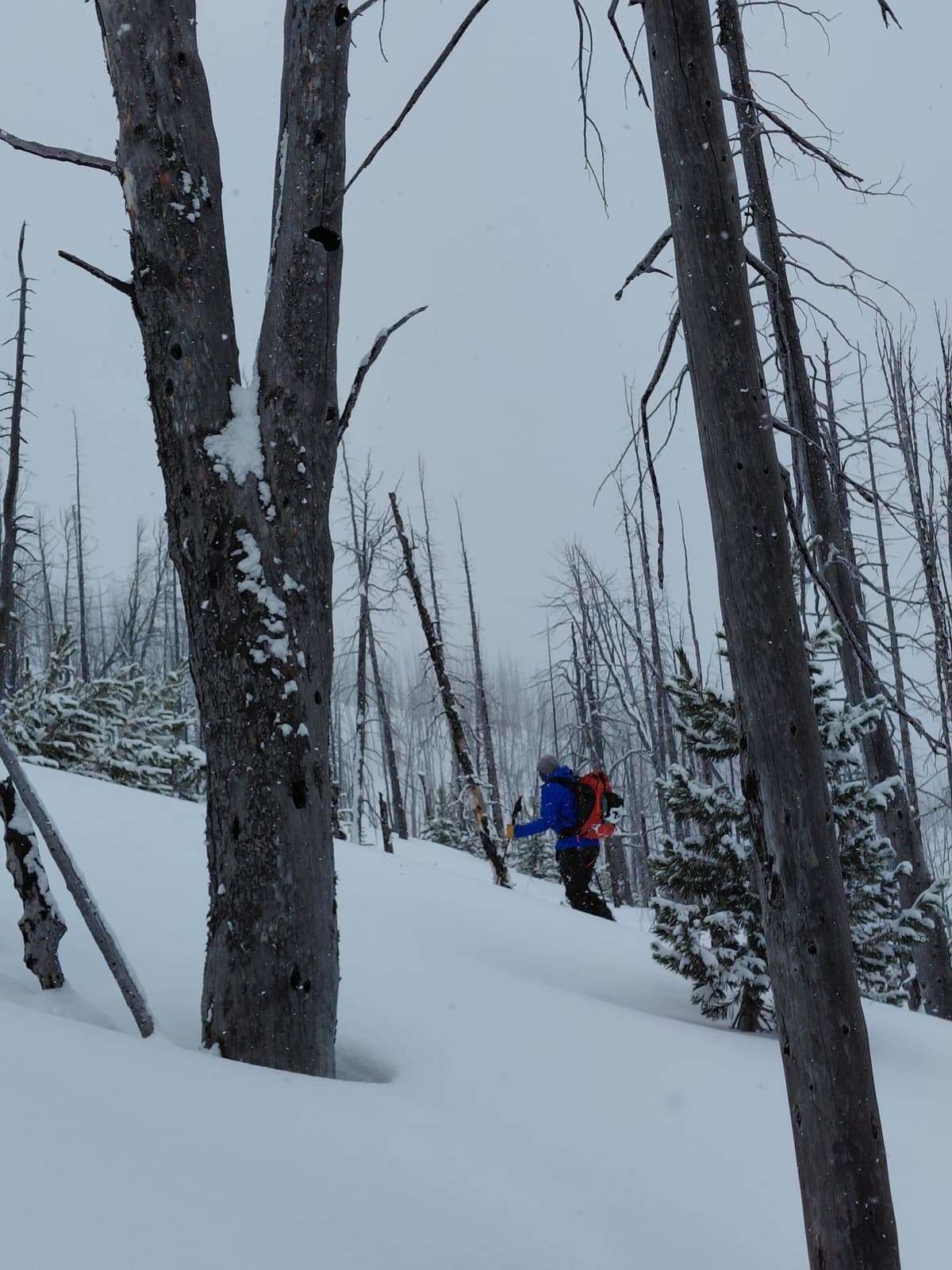 Easy trail breaking