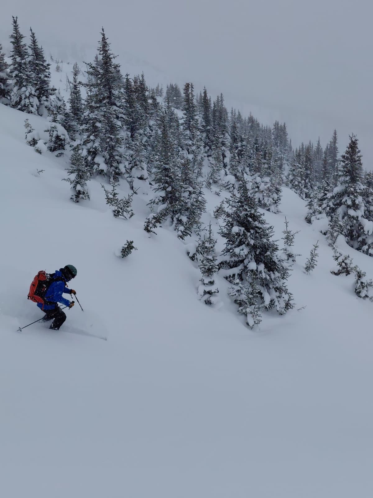 Good skiing in the trees.