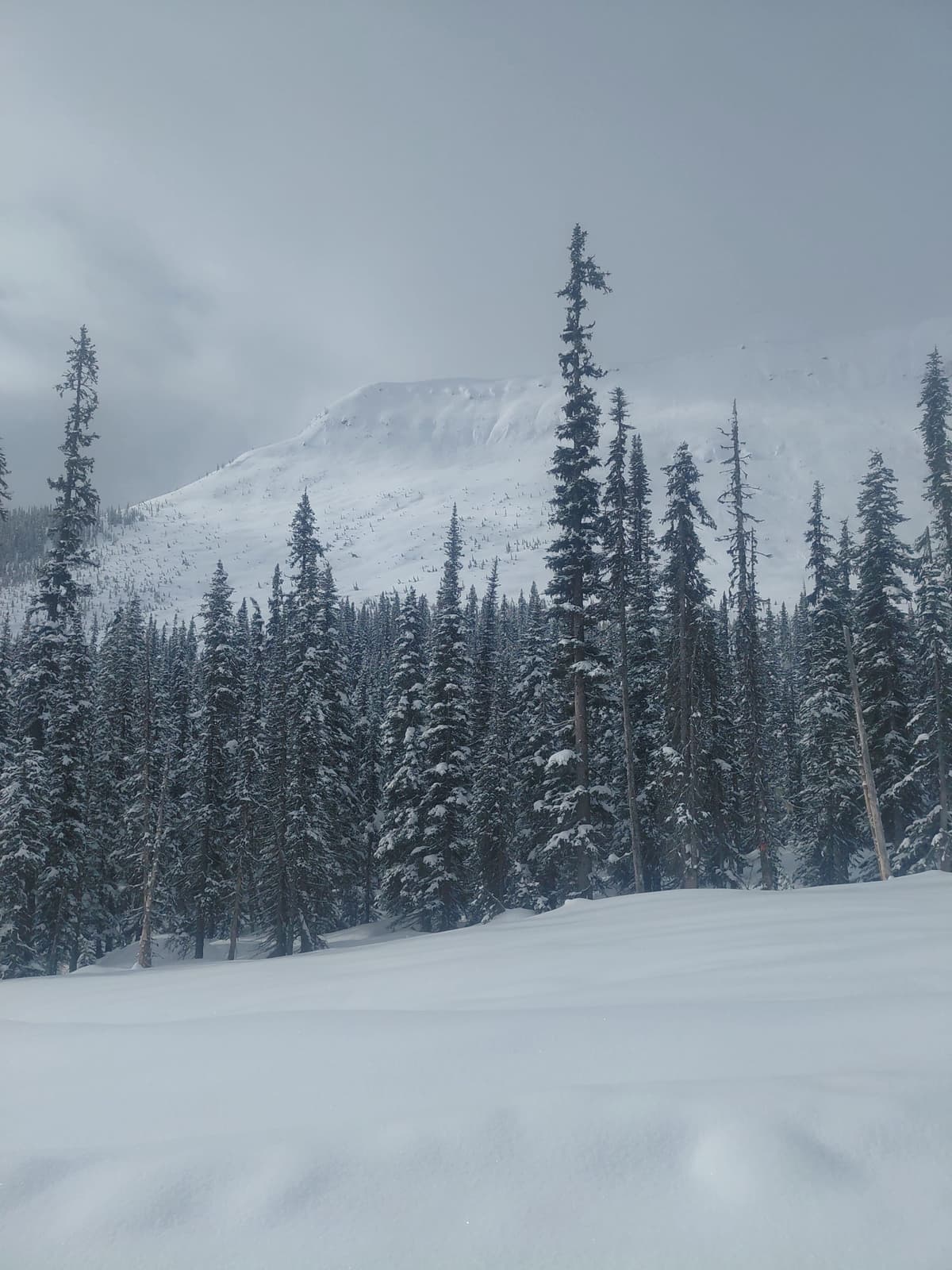 Big cornices in the Alpine