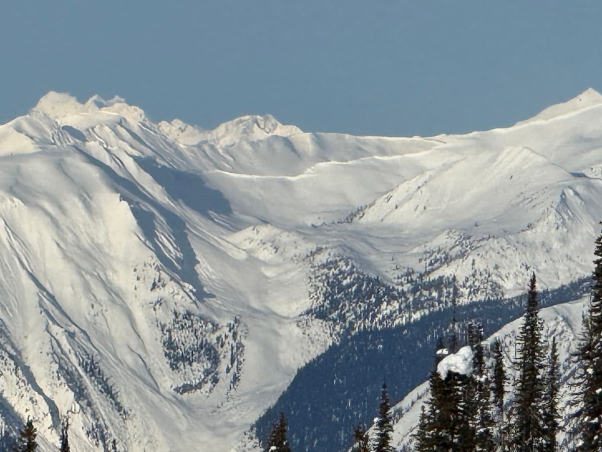 Zoom image looking WSW from the Campbell Icefield Chalet. Crown line 23 km away. That's Sir Sandford top left.