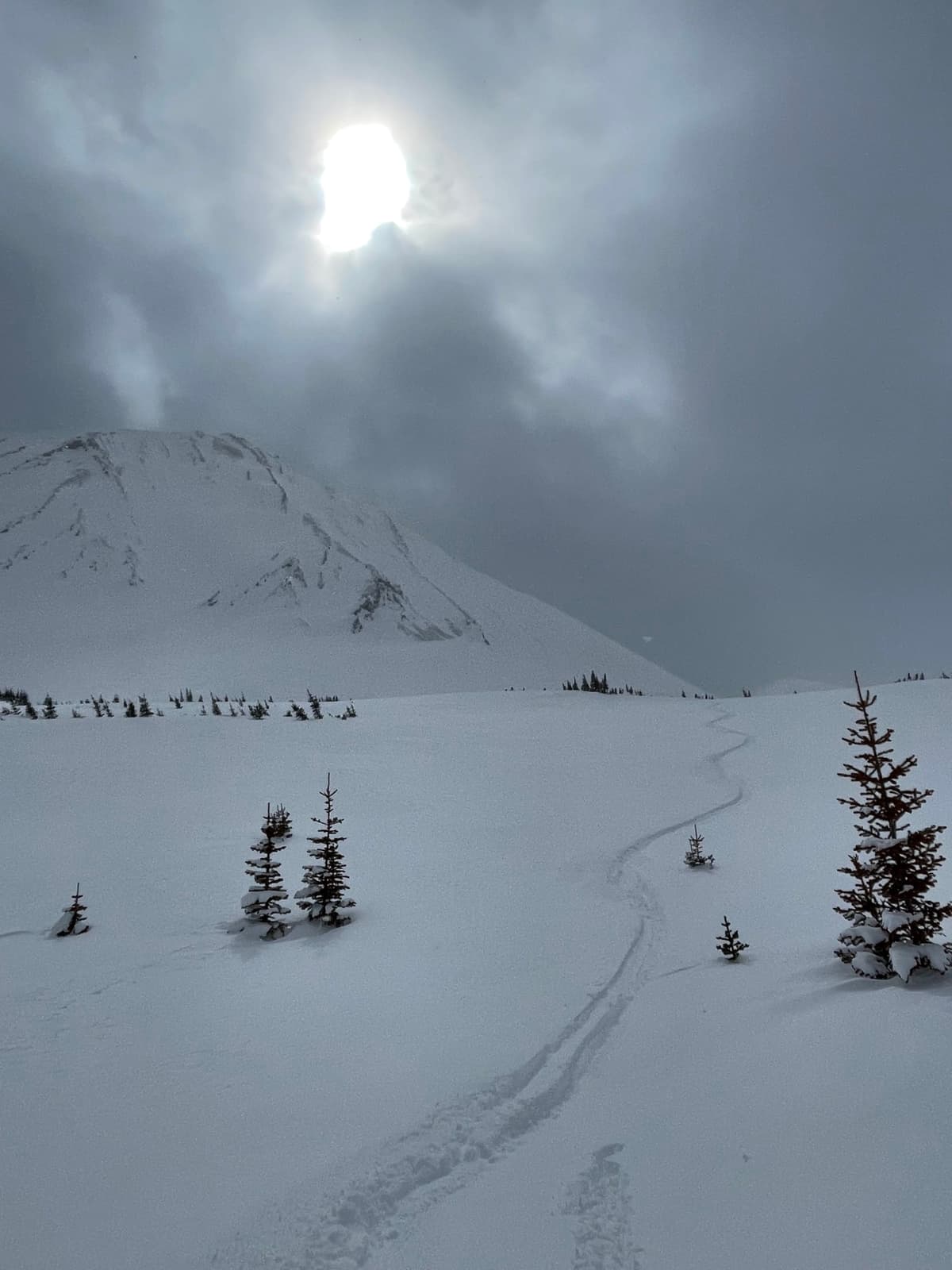 SW winds on the weekend stripped snow off the windward slopes. The new snow was just starting to be wind affected in the open.
