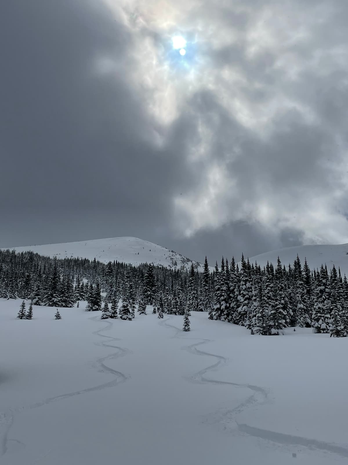 Really good snow in the glades.