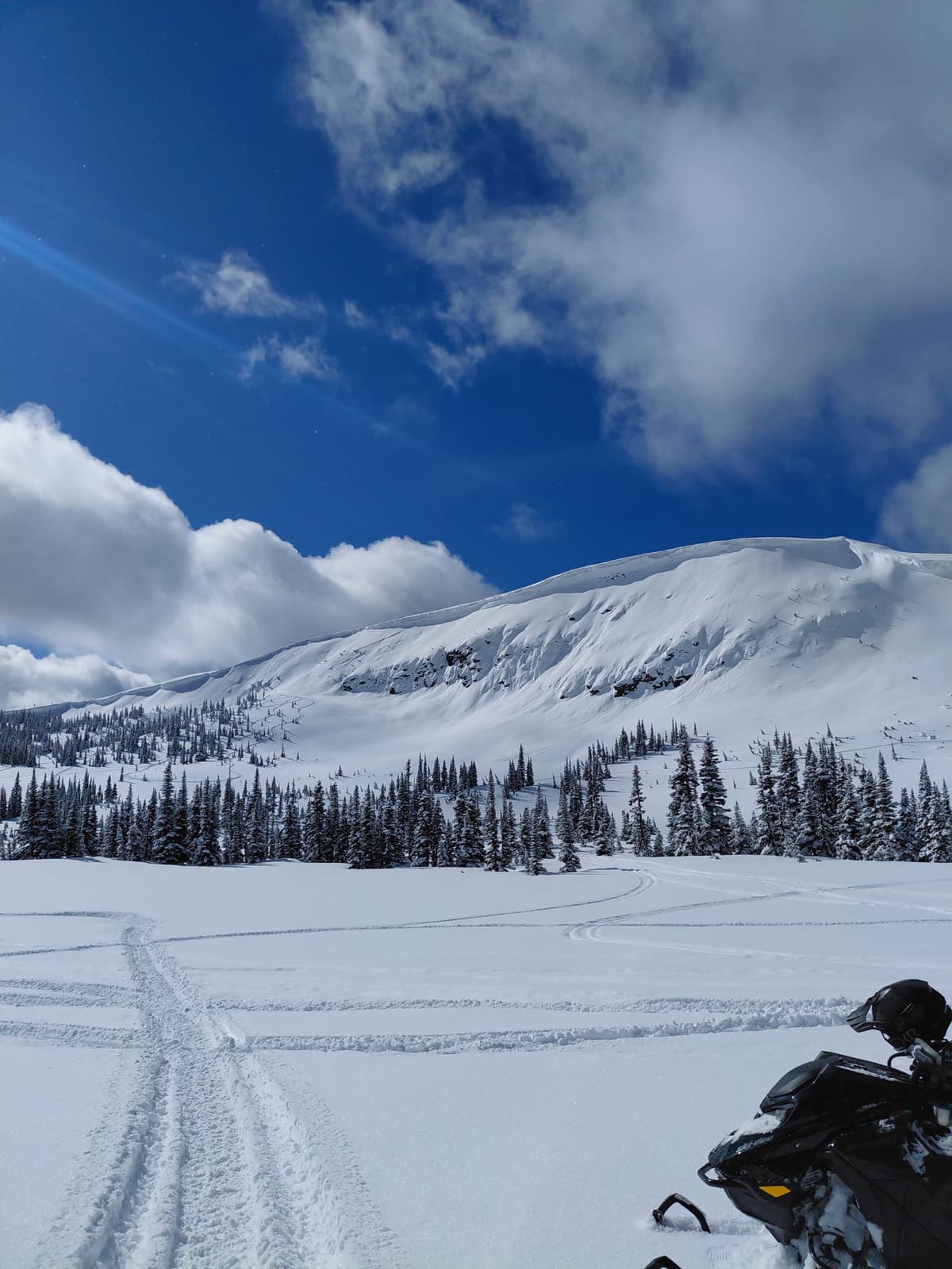 Cornices are getting big