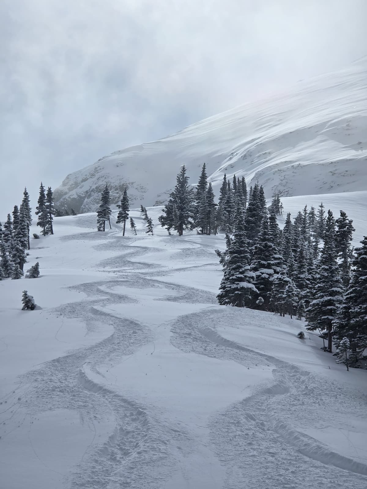 Blower snow with no wind effect.