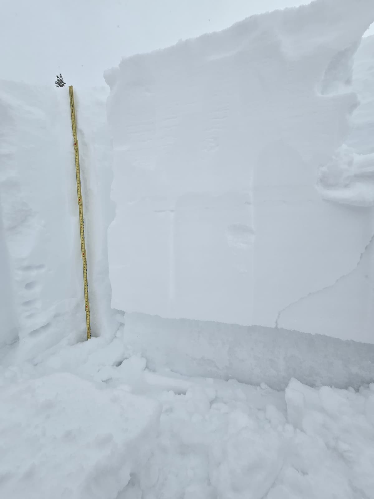 NE aspect at 2150m. ECTP 23 down 75 cm on facets size 2-3mm