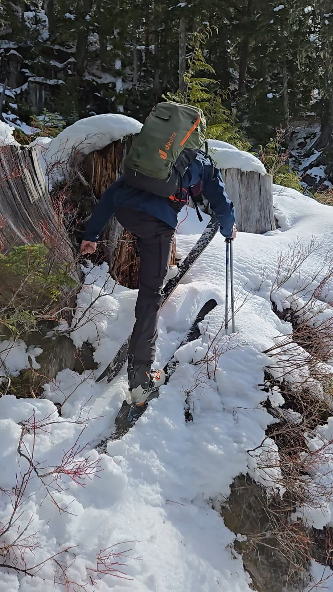 Jarek effecting a level 3 vegetation belay