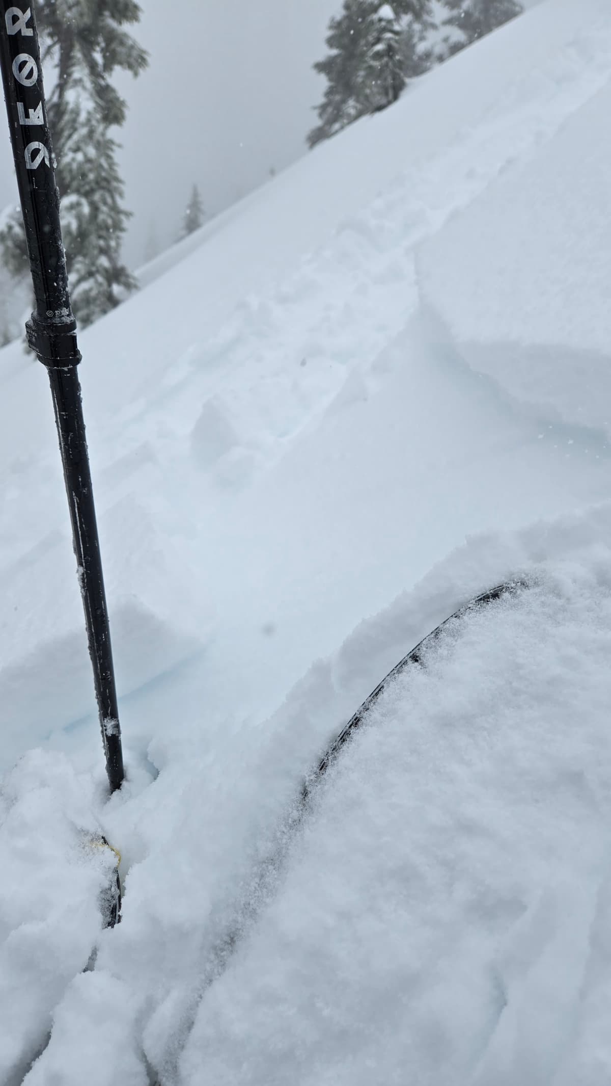 Today's storm slab coming to life.