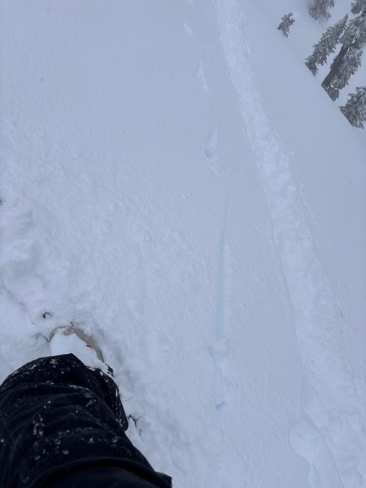 Nice long shooting crack on the way up.