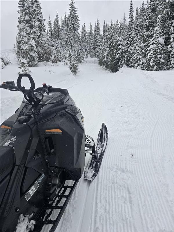 Fresh Grooming bonanza! The Trails are in great shape in Crowsnest Pass. Thank you Crow Snow Riders!