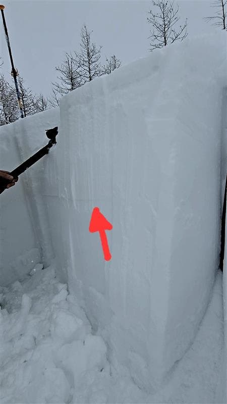 During snow stability tests, we had a mid storm interface fail, it did not propagate throughout the block.