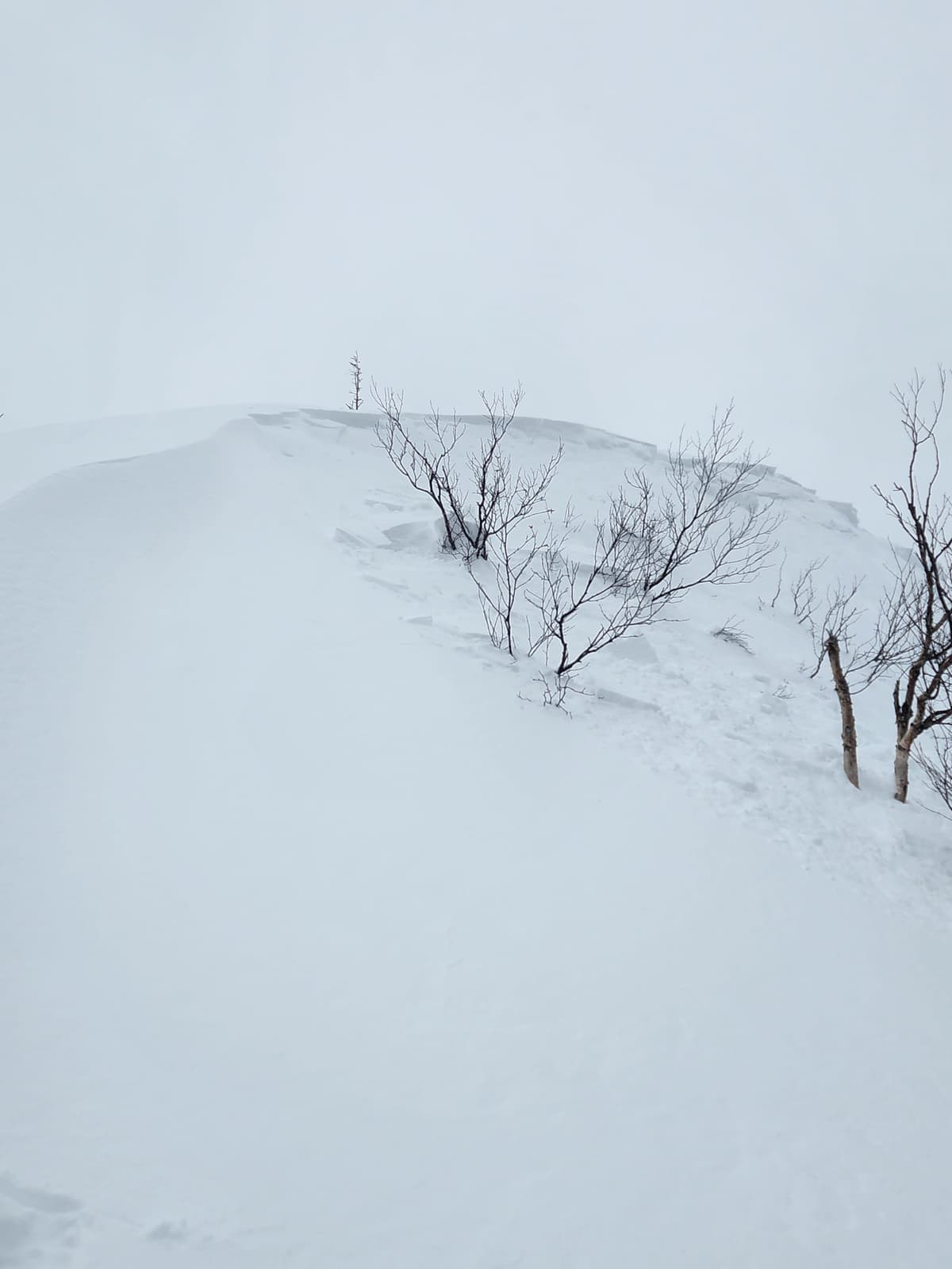 Chute de petite corniche démontrant de l'instabilité/réactivité dans la nouvelle neige déclenché à distance