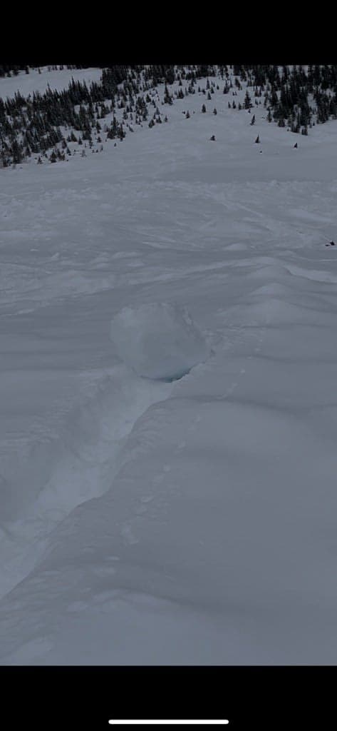 recent large rollers taking out skin track