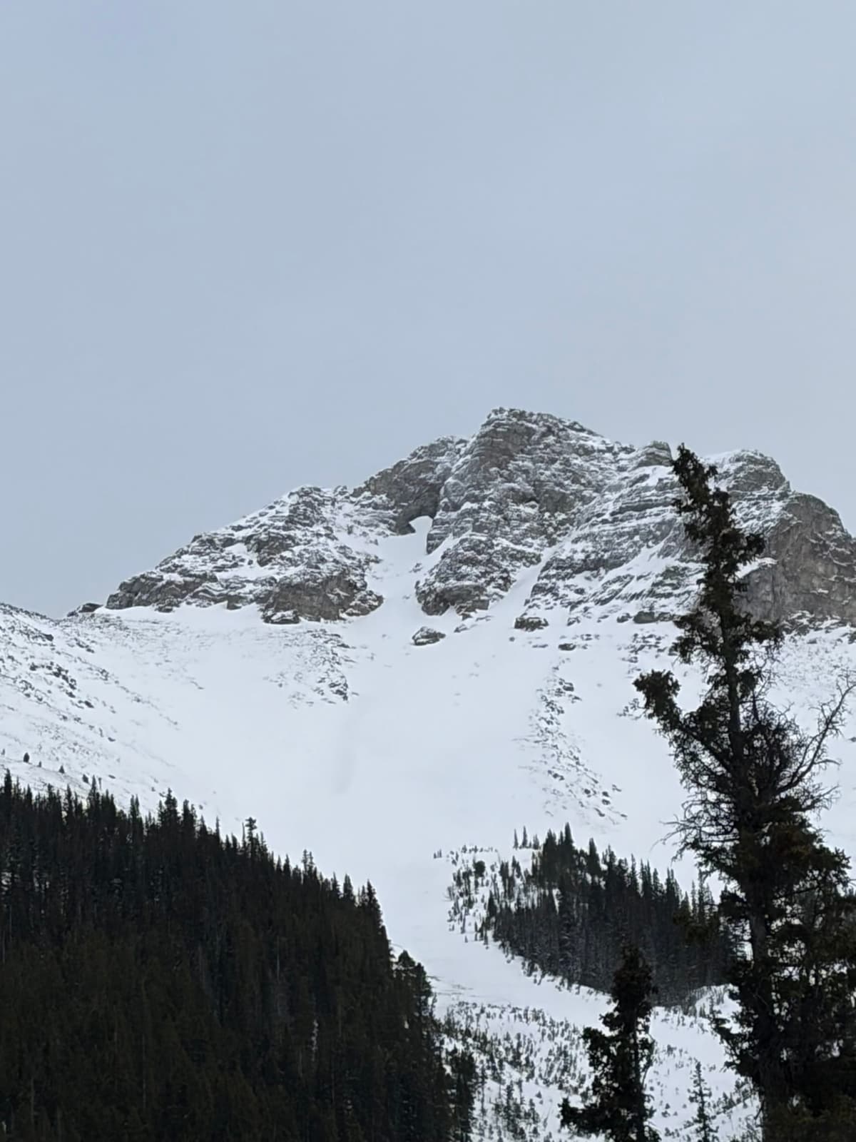 route starts with skiining up an avalanche path, stay in the trees if possible and in the alpine you have to start bootpacking. Recommend to stay on ridge to be safe, but Ice axe and crampons are needed