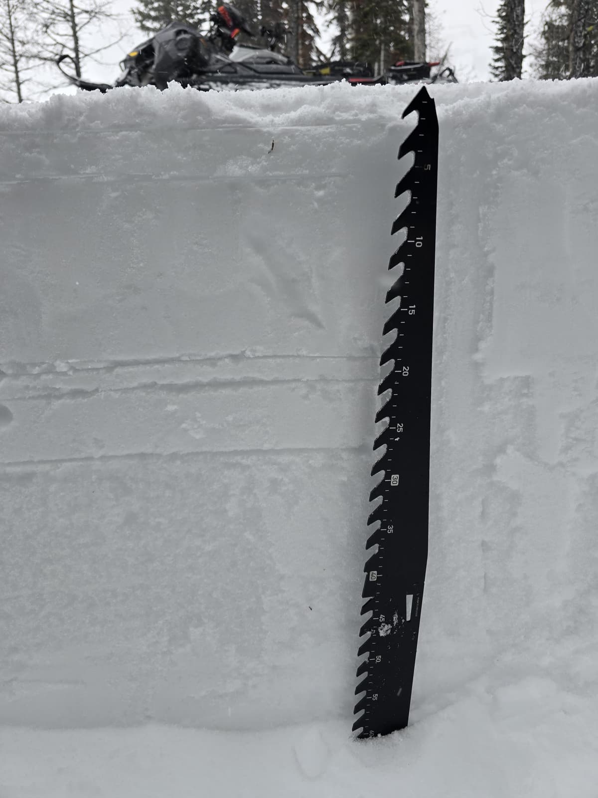 Snow profile at 2100 m