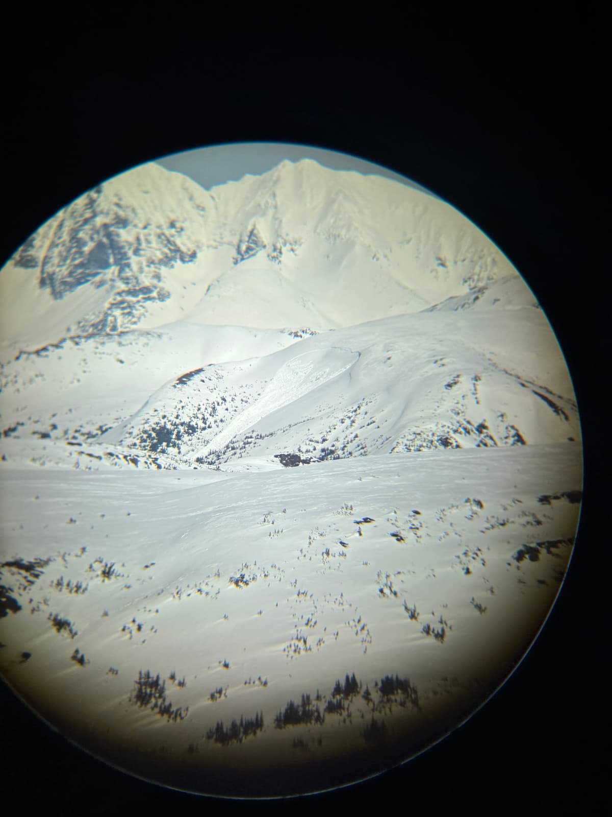 Size 3 natural out of west alpine running on the Jan 26th persistent weak layer.