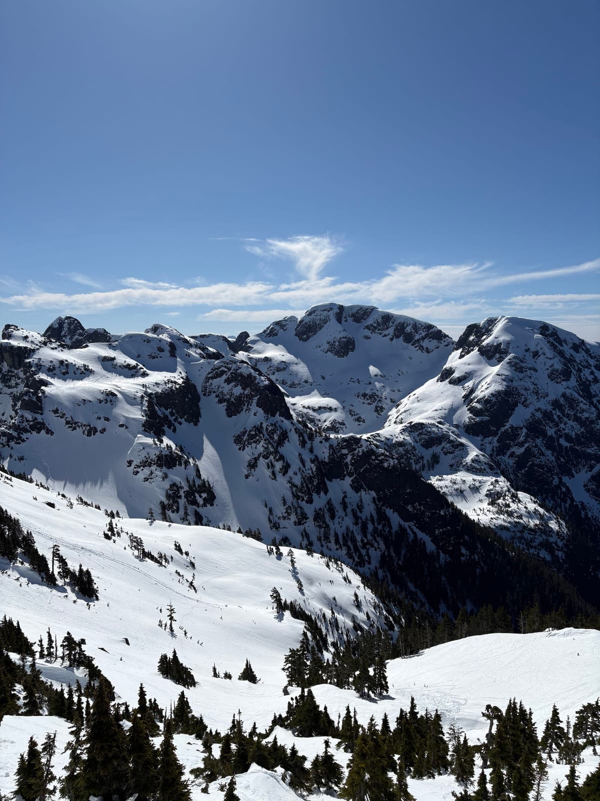 Coverage is pretty good in the alpine, still a couple cornices hanging around.