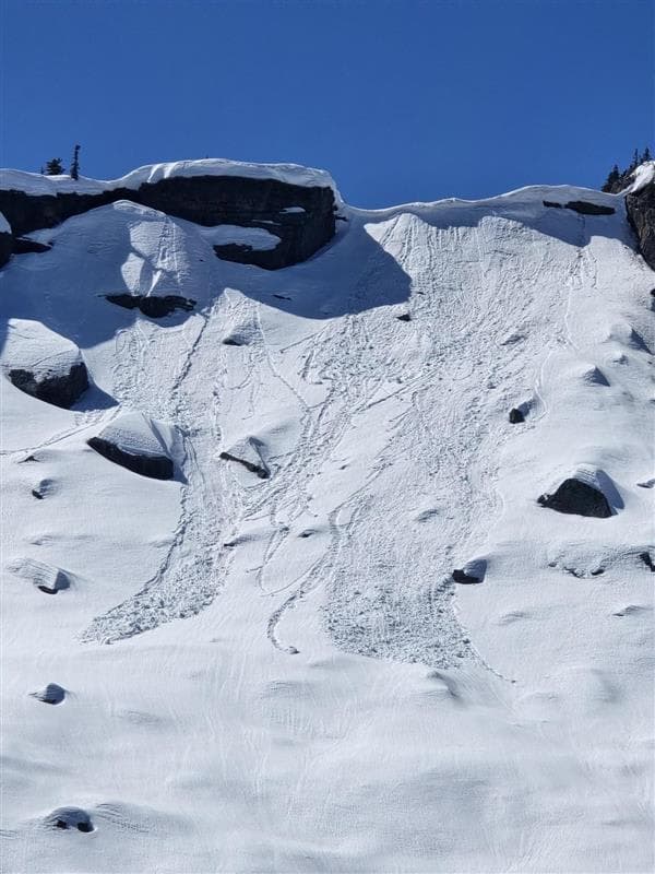 Small loose wet avalanches, triggered by cornice failure 24-48 hours old