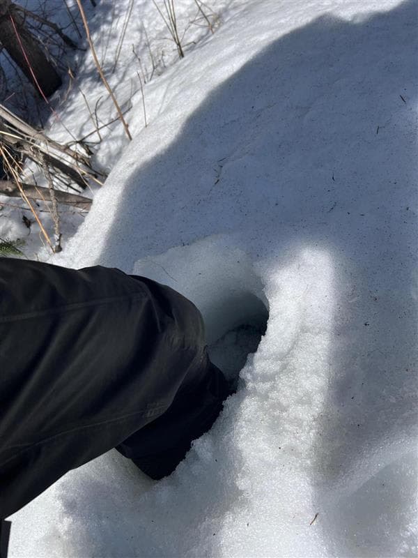 Isothermal snow, with deep and easy foot penetration