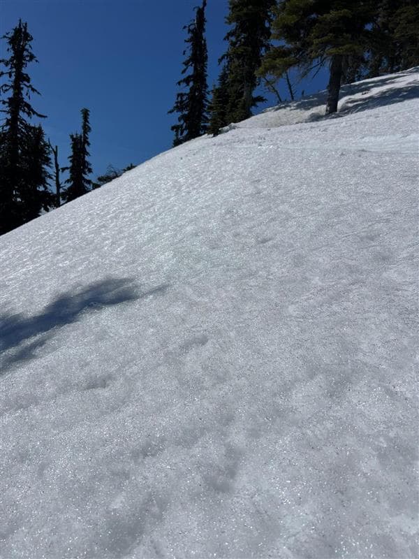 The snow surface was moist and shiny
