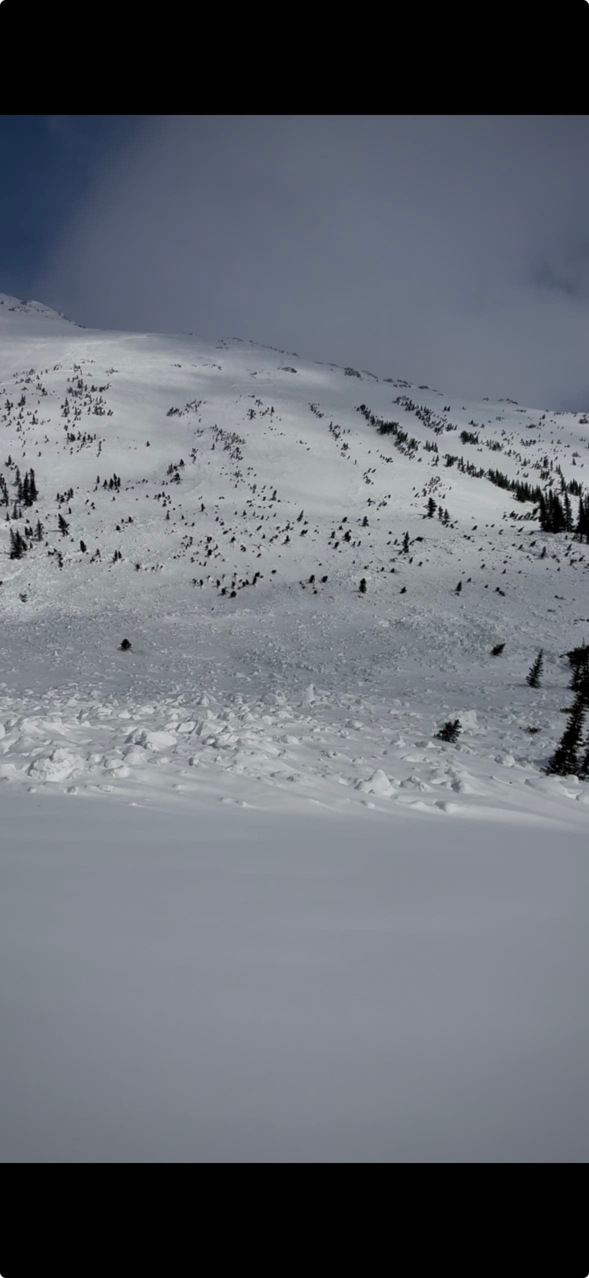 Size 2.5 natural avalanche running on the Jan26th PWL
