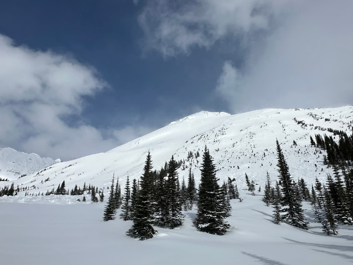 Size 2.5 natural avalanche running on the Jan26th PWL