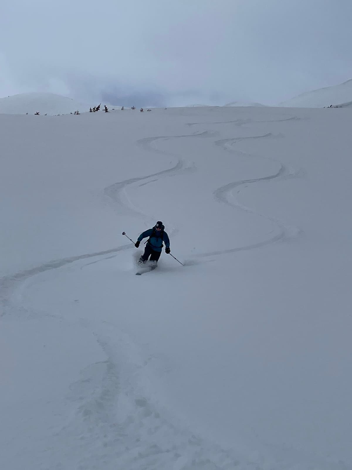Even the alpine had premium powder for April.