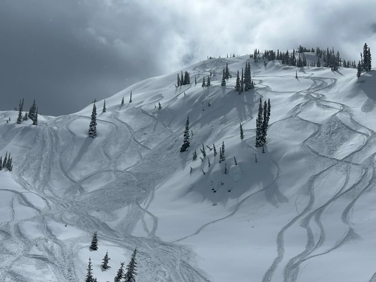 Overview of avalanche from regroup area