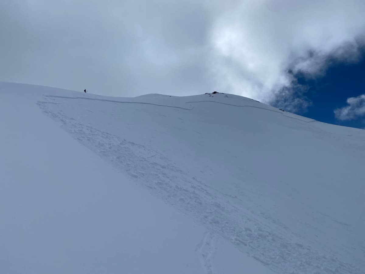 Human for scale. Ski tracks are from the skier who triggered the slide.