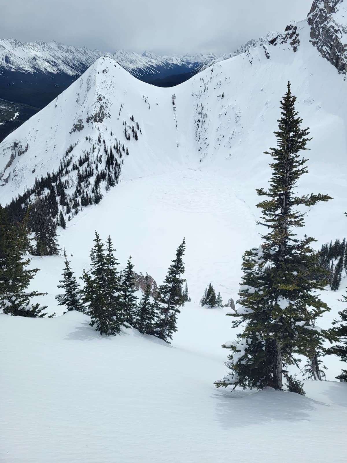 Taiga viewpoint